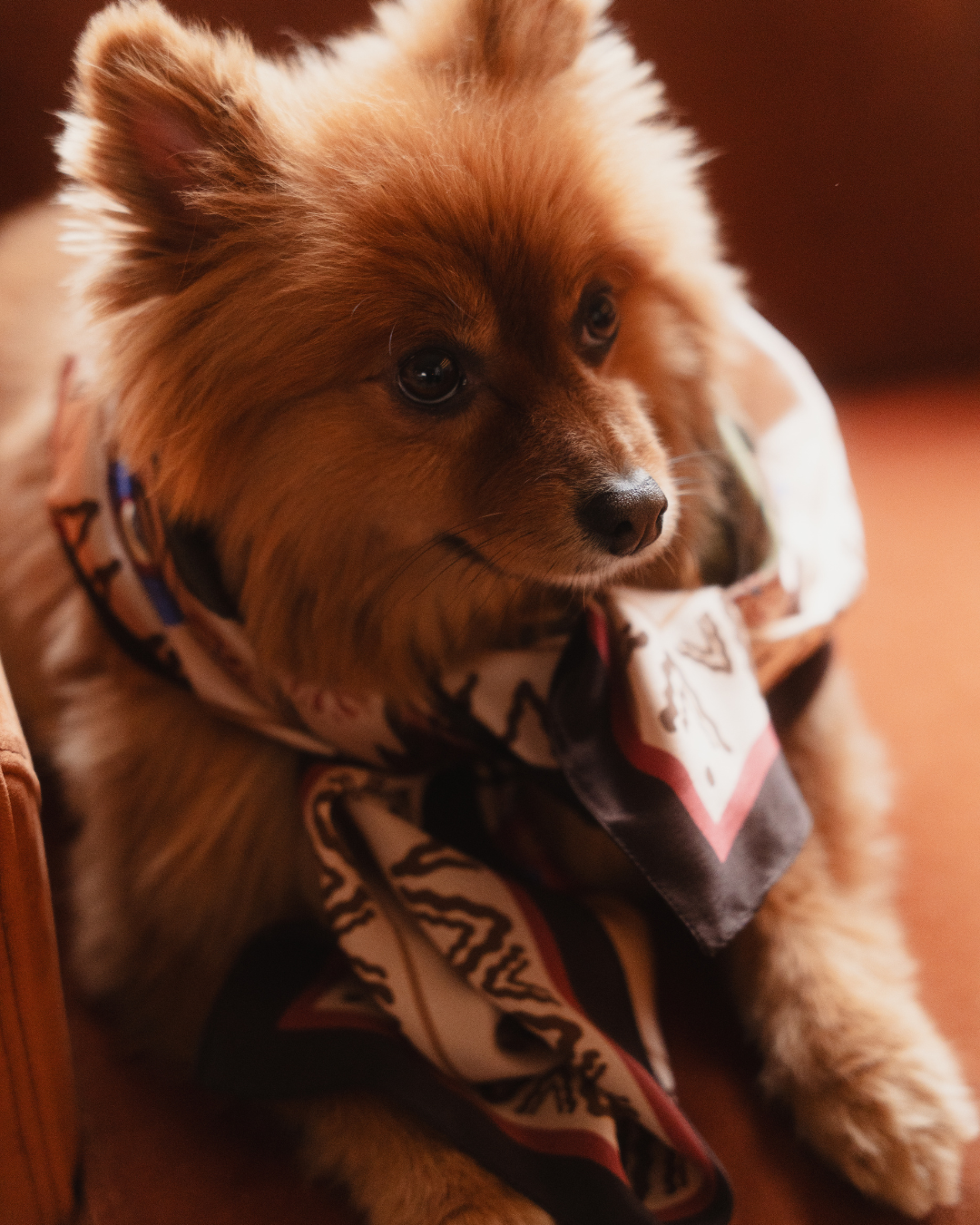 NÁLAM × KAMAY KO 'HERITAGE CEILING' SILK SCARF