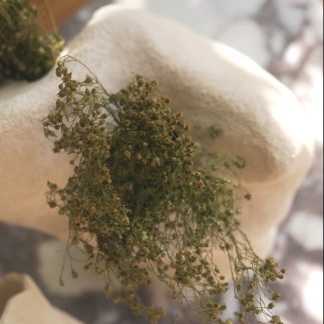 ORGANIC VASE